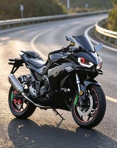 Batterie au lithium-fer 250W puissante 36 volts pour moto légère de voyage - Product Image 3
