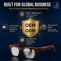 Lunettes Intelligentes IA avec Traduction en Temps Réel et Caméra 13MP, Assistant Vocal OEM, Enregistrement BT – Idéales pour la Vente en Gros Mondiale