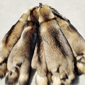 Piel de Mapache de Primera Calidad para Invierno - Piel Natural de Mapache de Alta Densidad para Abrigos de Lujo - Product Image 2