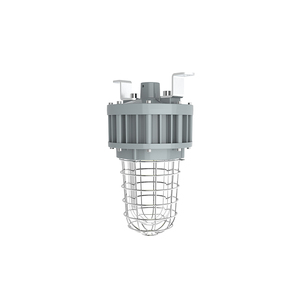 Luminaire anti-explosion en verre trempé de classe 1, division 1, avec protection en acier inoxydable, 20W/30W/40W, homologué UL ETL - Product Image 4