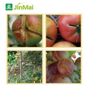 Fertilizante Líquido Agrícola de Glucano con Calcio Quelatado con Aminoácidos, Calcio, Magnesio, Boro y Zinc para Prevenir el Agrietamiento de la Fruta y el Agujero Amargo - Product Image 4