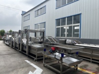 Productielijn voor het wassen, blancheren en koelen van BSF-larven, continu insectenlarvenverwerkingsapparatuur, aanpasbaar, CE & ISO gecertificeerd