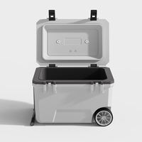 Réfrigérateur de voiture portable en plastique isolé personnalisé de 50 L, glacière isotherme Igloo pour aliments, barbecue, pêche
