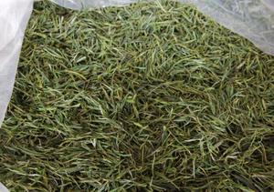 ชาภูเขาสีเหลืองปลายฝอยสิบยี่ห้อดังหวงซาน<span class=keywords><strong>เหมา</strong></span>เฟิงชาเขียวภูเขาสีเหลือง - Product Image 4