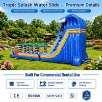 Toboggan aquatique gonflable tropical à double piste pour enfants, idéal pour le jardin, divertissement estival, qualité commerciale, PVC écologique, CE EN4960 ASTM 600KG