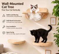 Étagère murale pour chat en bois de caoutchouc, ensemble de 3 pièces, lit pour chat en acrylique en forme de capsule spatiale, meubles muraux pour chat