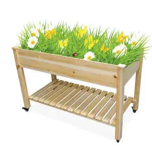 ooden户外凸起花园床高架木质花盆花园箱套件，用于花卉/绿色植物方形不支撑