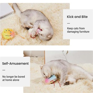 ของเล่นแมวของเล่นแบบโต้ตอบสำหรับแมวในบ้านของเล่นแมวที่ทนต่อการ<span class=keywords><strong>กัด</strong></span>5แพ็ค - Product Image 5