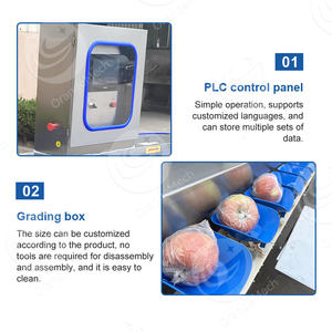 ORME Máquina automática de clasificación de peces vivos Máquina de grado de gambas de pollo Máquina de clasificación de peso para frutas - Product Image 4
