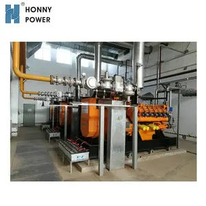 Honny Power 1MW to 50MW Biogas Power Station