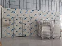 Máquina Industrial para Secar Chips de Plátano con Bomba de Calor, Máquina para Secar Chips de Mango, Manzana y Limón, Deshidratador de Alimentos, Deshidratador Comercial