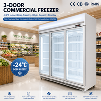 Congélateur vertical à porte vitrée 115V, sans givre, avec contrôle numérique de la température, pour la vente de crèmes glacées à -24°C