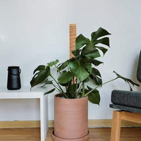 Poteaux de soutien en mousse pour plantes grimpantes de jardin, bâtons de coco pour plantes à feuilles persistantes