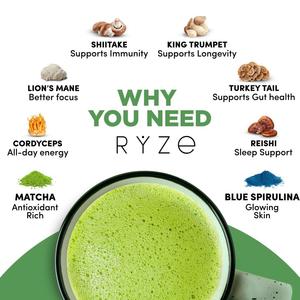 Poudre de <span class=keywords><strong>Matcha</strong></span> aux Champignons Biologiques avec 6 Types de Champignons : Champignon Velours de Ligneau, Champignon Shiitake, Champignon Crinière de Lion – Renforce l'Immunité - Product Image 2
