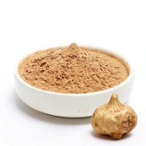 Pó de Extrato de Raiz de Maca Concentrado <span class=keywords><strong>10</strong></span>:1 de Alta Qualidade e Pó de Maca Cru Rico em Macaamida - Product Image 1