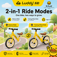 Vélo d'équilibre 2-en-1 Luddy Wholesale OEM B.Duck pour enfants, cadre en acier, vélo d'apprentissage pour tout-petits, pédales amovibles, roues en EVA, âge 3-6 ans