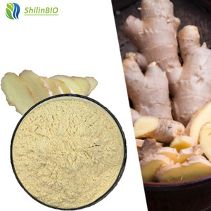 Extracto de Raíz de Jengibre Soluble en Agua 10% 98% 99% en Polvo, Grado Alimenticio, Extracto Herbal, Envasado al Vacío en Tambor - Product Image 3