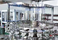 Machine de remplissage de bouteilles en plastique de jus de fruits d'eau minérale de capsulage de liquide automatique rotatif