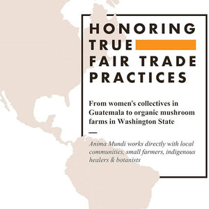 Özelleştirilmiş ashashandha tozu yaygın olarak bilinen hint <span class=keywords><strong>Ginseng</strong></span> kökü toz sakinleştirici bitkisel takviyesi ekleyin çay kahve ve daha - Product Image 5