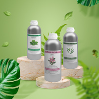 Huile Essentielle Pure à 100% pour Diffuseur, 1000ml, Vente en Gros, Marque Privée, Huile Essentielle en Vrac pour SPA, Soins de la Peau, Diffuseur d'Arômes
