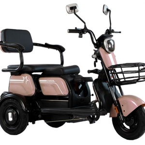 800W Electric Tricycle Household Small Scooter Three-seat Adjustable Electric Tricycle - Product Image 1