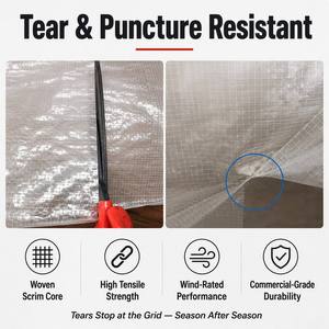 Film <span class=keywords><strong>de</strong></span> serre tissé <span class=keywords><strong>150</strong></span> GSM, robuste, transparent, en PE renforcé, résistant aux déchirures, protégé contre les UV, en rouleau - Product Image 2