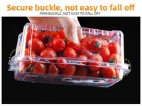Boîte à fruits en PET transparente, pliable et jetable, pour fraises, raisins, cerises – Vente en gros usine