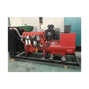 Factory direct sales new pen ta engine diesel generator set silent brushless water pump genset market dynamo