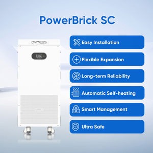 Batterie solaire Dyness PowerBrick SC 51.2V 314Ah 16.076kWh LiFePO4, courant élevé 200A, plus de 8000 cycles, système de stockage d'énergie domestique - Product Image 2