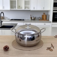 Marmite extra-épaisse pour soupe, bouillie, nouilles et lait, compatible induction et gaz, 24 cm, design moderne avec couvercles