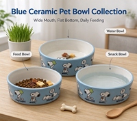 Bol en céramique pour animaux de compagnie de dessin animé Design et taille personnalisés pour chiens et chats Bol d'alimentation en eau et en nourriture pour animaux de compagnie