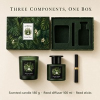 Coffret Cadeau de Bougies Parfumées Personnalisées avec Bouteille de Diffuseur à Bâtonnets, Pot à Bougie en Verre Dépoli avec Couvercle, Emballage en Gros OEM