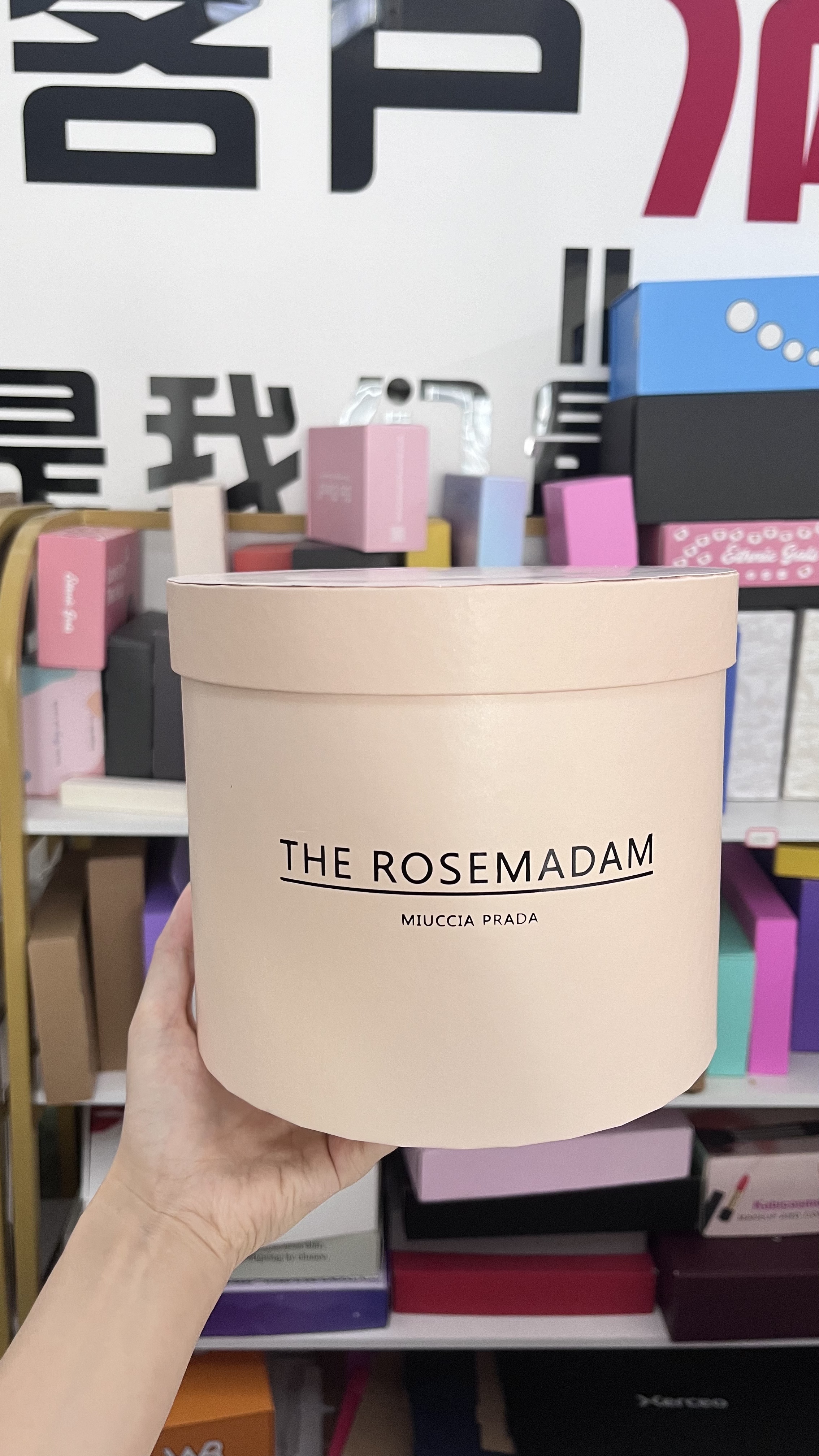Rosa (Stock AE)**