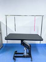 Table de toilettage pour animaux de compagnie professionnelle hydraulique écologique pour chiens avec matériau en acier inoxydable Épilation et nettoyage