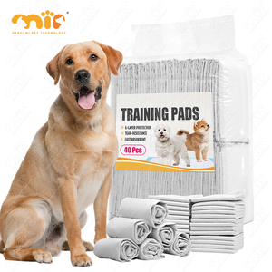 Flexible Container Loading OEM ODM Heavy Duty Super Absorbent Luxury 6 Layer Quick Drying Dog Pee <strong>Pad</strong> - Product Image 1