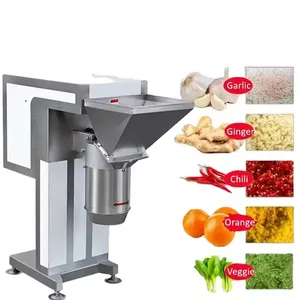 High Quality Automatic Continuous Garlic Mash Potato Mash Onion Mash High Yield Fruit and Vegetable Crusher