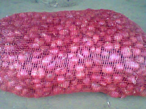 2025 Oignons rouges en vrac de qualité supérieure du Vietnam Oignon rouge frais exportation de gros produits agricoles - Product Image 5