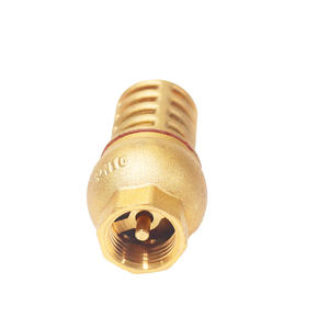 OEM HEAVY BRASS valvola a pedale unidirezionale controllare 1 1/2 ''2'' 3 "e 4'' gabbia filtro in ottone per ridurre al minimo i detriti - Product Image 5