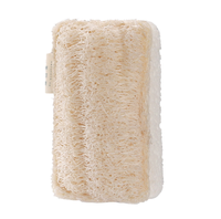 Éponge de Douche Exfoliante Naturelle Écologique TIN HONG en Loofah à Haute Absorption d'Eau