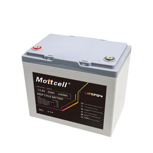 عربة LiFePO4 فوسفات V 50Ah مع بطارية ليثيوم ليثيوم للسيارات LiFePO4 - Product Image 4