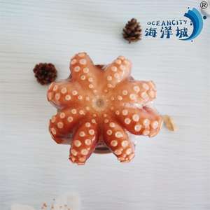 Delicious Live Octopus China Origin IQF Sushi Flor de <span class=keywords><strong>pulpo</strong></span> congelada Bolsa a la venta al por menor <span class=keywords><strong>Pulpo</strong></span> Pescado - Product Image 5