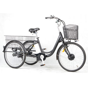 Bicicleta de carga eléctrica de 24 pulgadas, triciclo eléctrico de 250W-500W, bicicleta eléctrica caliente con cesta grande, bicicleta de entrega de comida rápida para expreso - Product Image 1