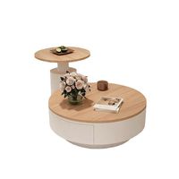 Ensemble de tables basses rondes modernes en métal avec rangement, design décoratif et portable pour salon et mobilier de maison