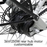 Vélo électrique TXED à prix d'usine, transmission par courroie, batterie au lithium 9,8 Ah, longue autonomie, léger, avec porte-bagages arrière, vélo électrique de ville