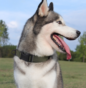 Taktisches Hundehalsband mit Griff, Verstellbares Hundehalsband mit Robuster Metallschnalle für das Training - Product Image 6