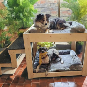 Erhöhtes Holz-Hundebett mit 2 Stabilen Stufen Großes Etagenbett für 2 Hunde Leinen- und Schaumstoffmaterial Nachhaltig - Product Image 4