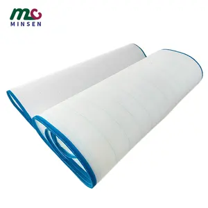 Customized white plain weave polyester mesh conveyor belt for paper making sludge dewatering