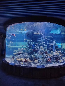 水槽300ガロン大型水槽カスタム水槽農場水産養殖大型ガラス水槽水槽 - Product Image 5