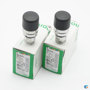 2x Zb4 <span class=keywords><strong>Bc24</strong></span> Zb4bc24 088838 Грибная Кнопка неоригинальная коробка - Product Image 1