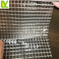Bâches transparentes en maille PVC à usage intensif pour serre